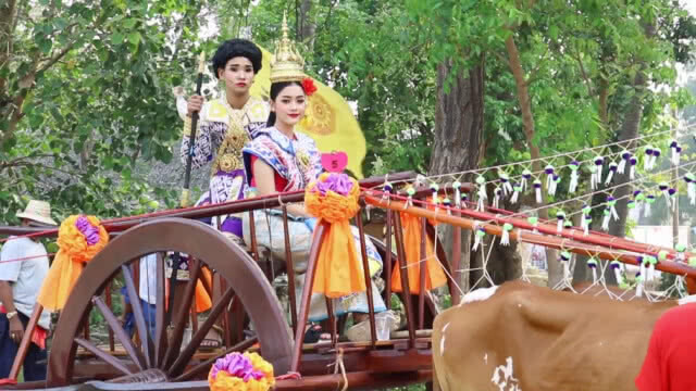 ประเพณีโบราณ!!! คู่รักจัดงานแต่งบนหลังเกวียน รับวันวาเลนไทน์