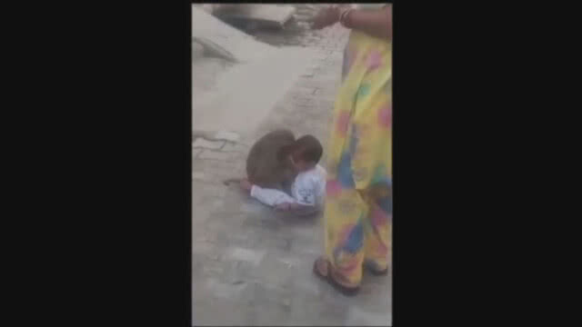 ลิงขโมยลูกคนไปเป็นเพื่อนเล่น