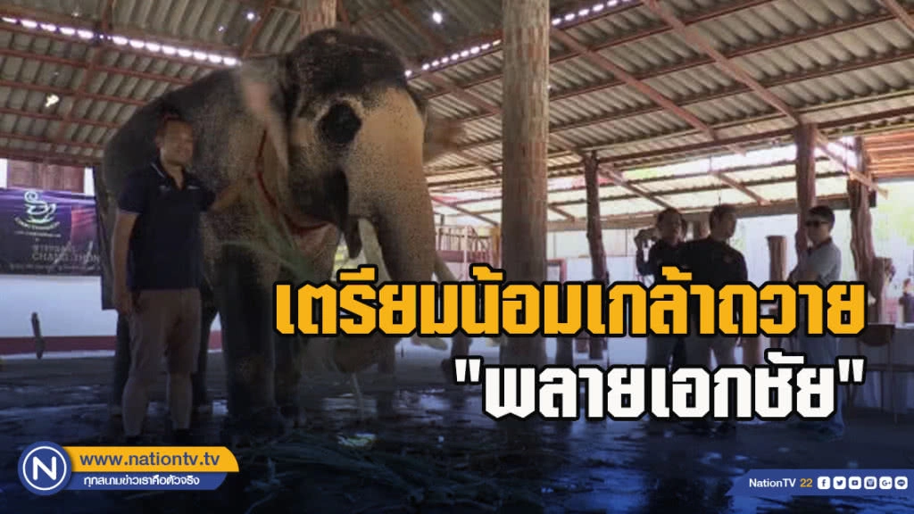 เตรียมน้อมเกล้าถวาย"พลายเอกชัย"