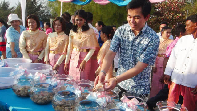 แต่งงานหอยหวาน