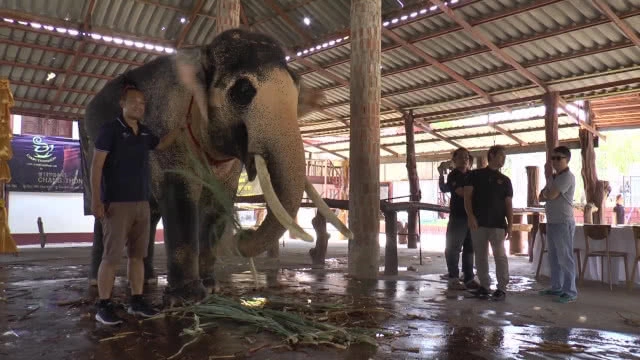 เตรียมน้อมเกล้าถวาย"พลายเอกชัย"