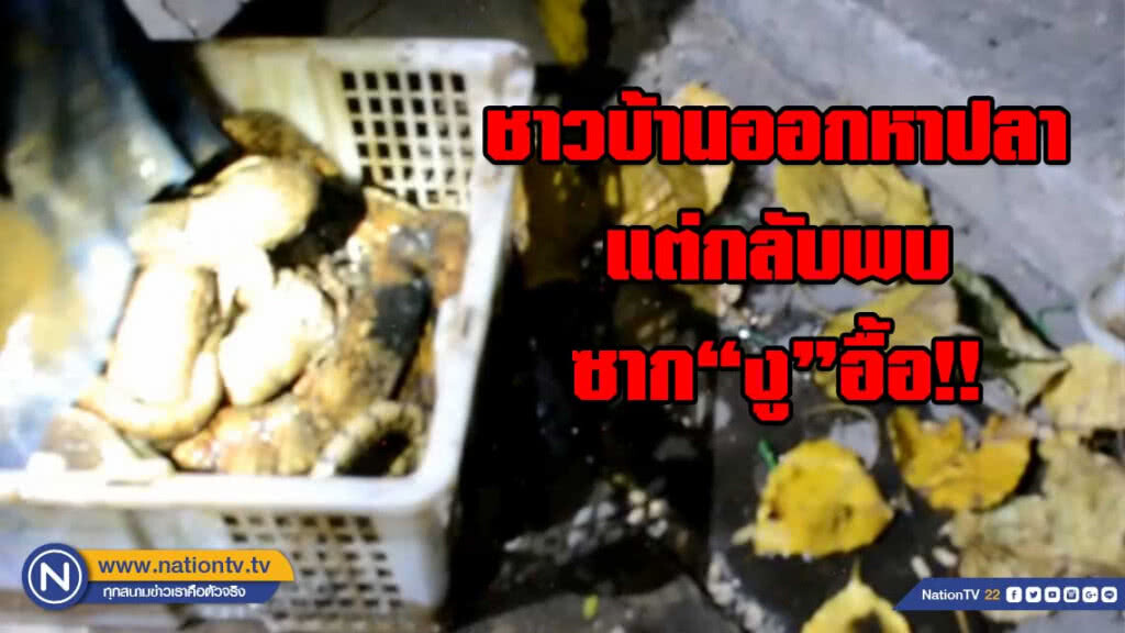 ชาวบ้านออกหาปลาพบตะกร้าลอยมาเปิดดู พบซากงูเห่างูจงอางอื้อ!!