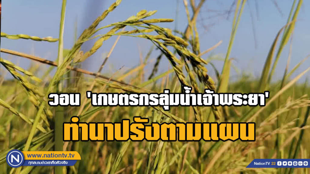 กรมชลฯ​ วอน​ 'เกษตรกรลุ่มน้ำเจ้าพระยา'​ ทำนาปรังตามแผน​ เพราะน้ำมีน้อย