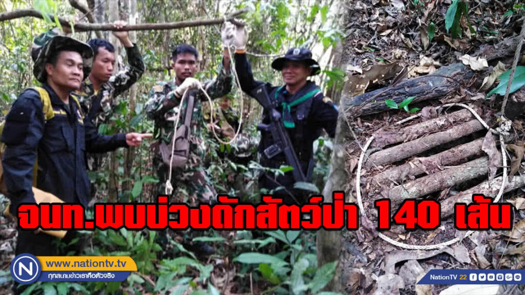ภัยคุกคามเขาอ่างฤาไน! จนท.พบบ่วงดักสัตว์ป่ากว่า 140 เส้น เร่งขยายผลจับกุม ภัยคุกคามเขาอ่างฤาไน! จนท.พบบ่วงดักสัตว์ป่ากว่า 140 เส้น เร่งขยายผลจับกุม