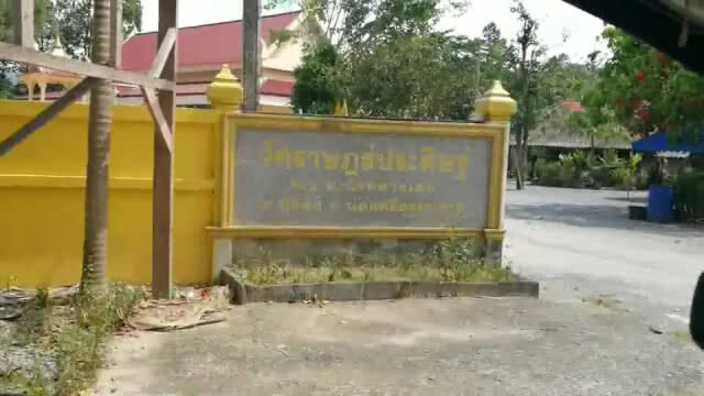 บุกวัดดังเมืองทุ่งสง พบพระกว่าครึ่งวัด "ฉี่ม่วง"
