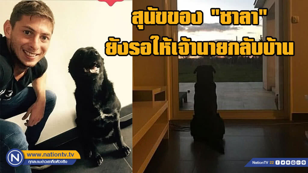สุดเศร้า!!! สุนัขของ "ซาลา" ผู้ล่วงลับ ยังรอให้เจ้านายกลับบ้าน สุดเศร้า!!! สุนัขของ "ซาลา" ผู้ล่วงลับ ยังรอให้เจ้านายกลับบ้าน