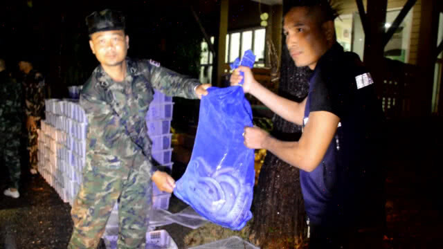 จับงูเห่างูจงอาง 2,730 ตัว เตรียมส่งข้ามลาว