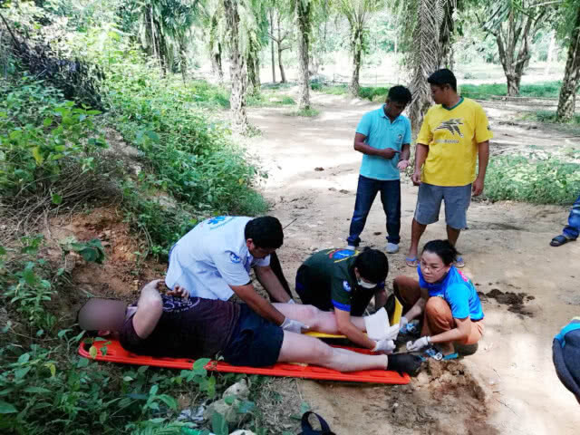 ช้างทัวร์สองแพรกสะบัดนักท่องเที่ยวตกจากหลังงาแทงสาหัส