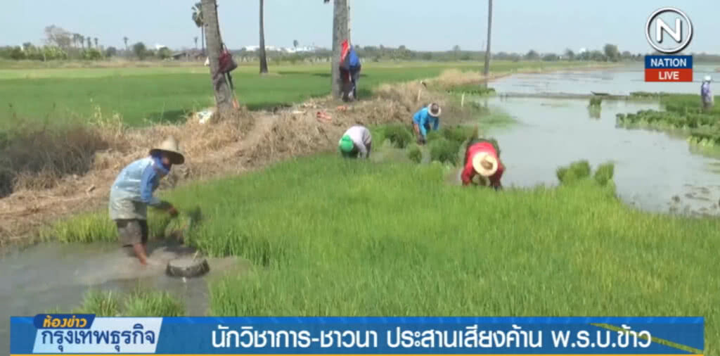 (คลิปข่าว) นักวิชาการค้าน พ.ร.บ.ข้าว ชี้ทำให้เสียเปรียบต่างชาติ