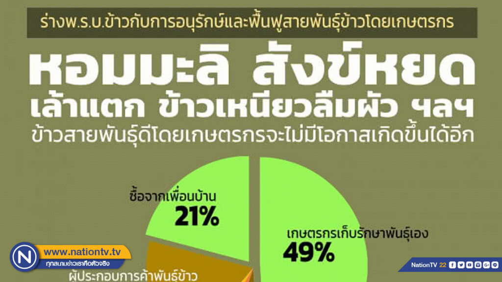 ชาวนา 49% เก็บเมล็ดพันธุ์เอง BIOThai หวั่นร่างพ.ร.บ.ข้าวทำลายความหลากหลายทางชีวภาพ