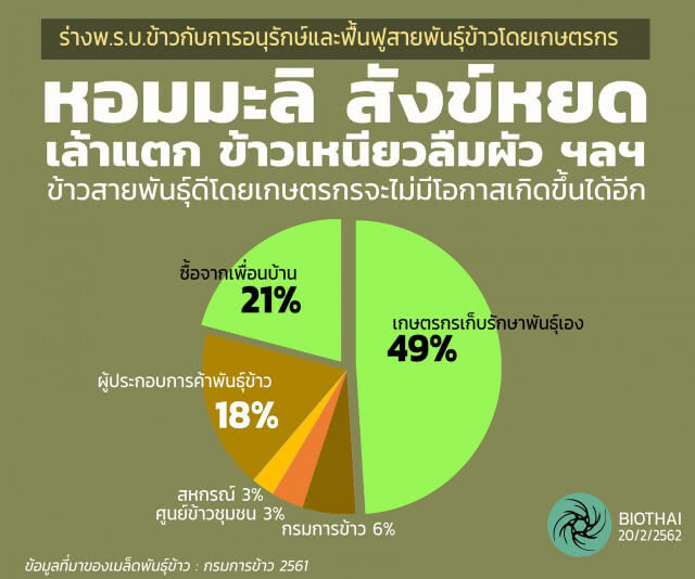 ชาวนา 49% เก็บเมล็ดพันธุ์เอง BIOThai หวั่นร่างพ.ร.บ.ข้าวทำลายความหลากหลายทางชีวภาพ