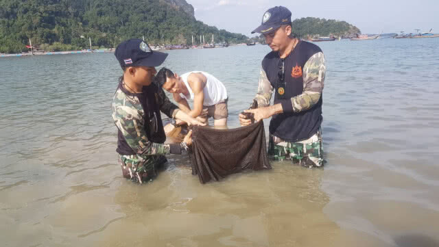 พบ 'โลมาริซโซส์' เกยตื้น บาดเจ็บ บริเวณอ่าวไร่เลย์ตะวันออก เร่งฟื้นฟูกลับคืนธรรมชาติ