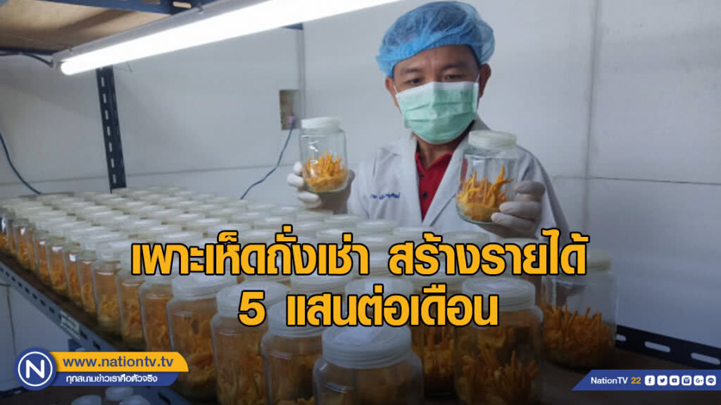 เพาะเห็ดถั่งเช่า สร้างรายได้ 5 แสน/เดือน