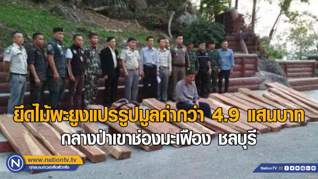 ยึดไม้พะยูงแปรรูปมูลค่ากว่า 4.9 แสนบาท​ กลางป่าเขาช่องมะเฟือง​ ชลบุรี