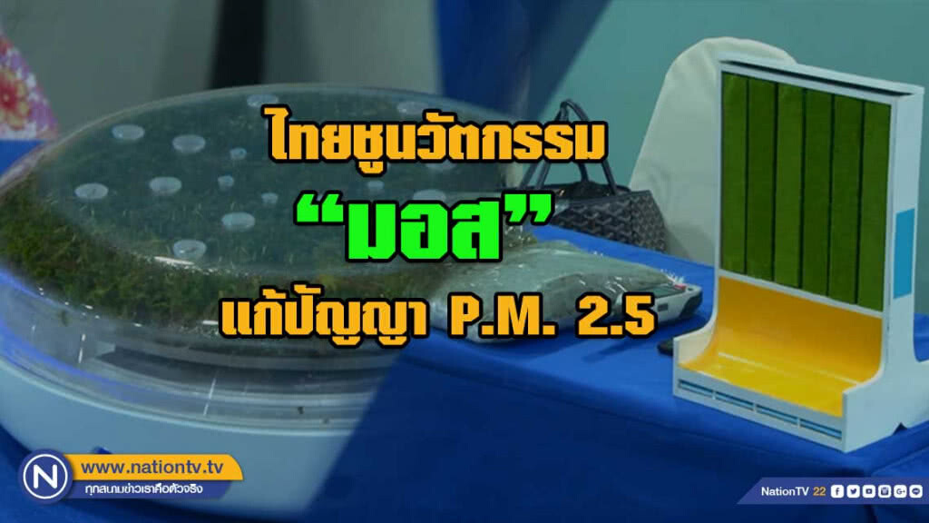 ชู นวัตกรรมใช้ "มอส" ดักจับฝุ่น แก้ปัญญา p.m.2.5 ระยะยาว