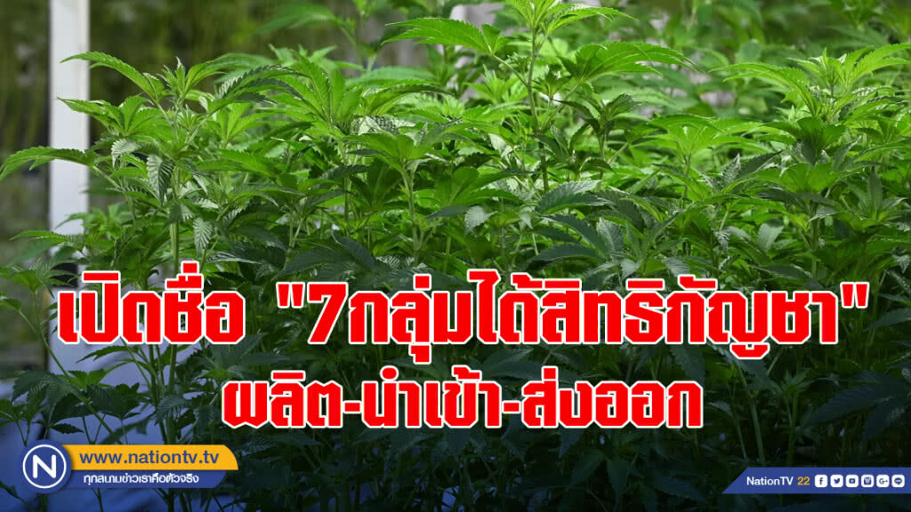 เปิดชื่อ "7กลุ่มได้สิทธิกัญชา" ผลิต-นำเข้า-ส่งออก