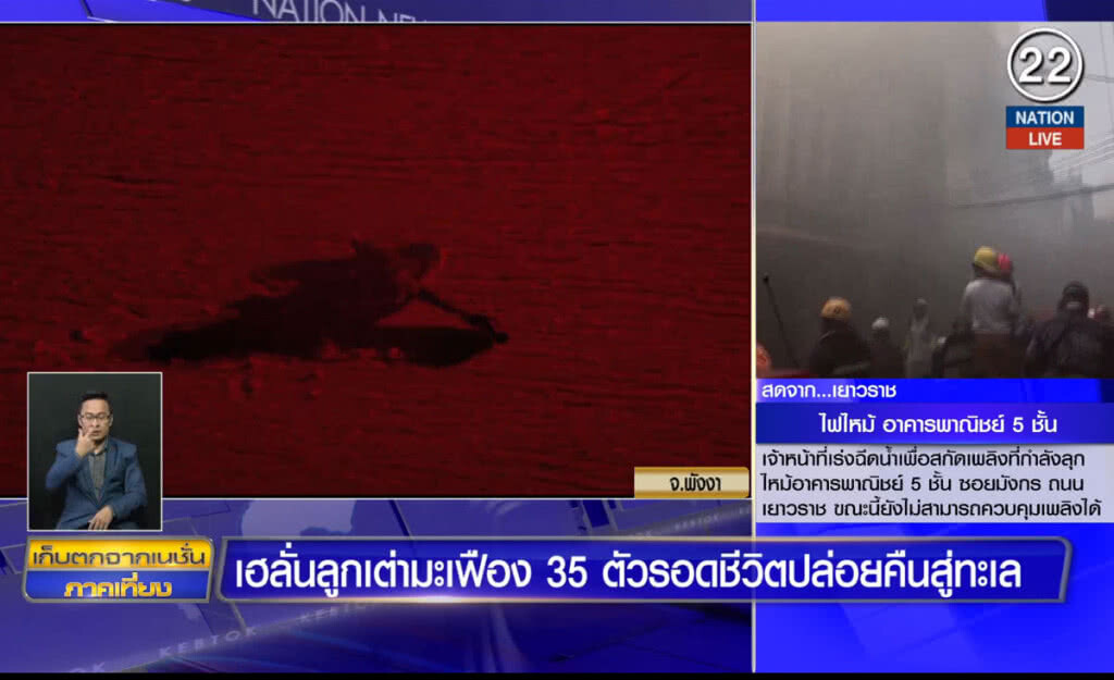 (คลิปข่าว) เฮลั่นลูกเต่ามะเฟือง  35 ตัว รอดชีวิตปล่อยคืนสู่ทะเล