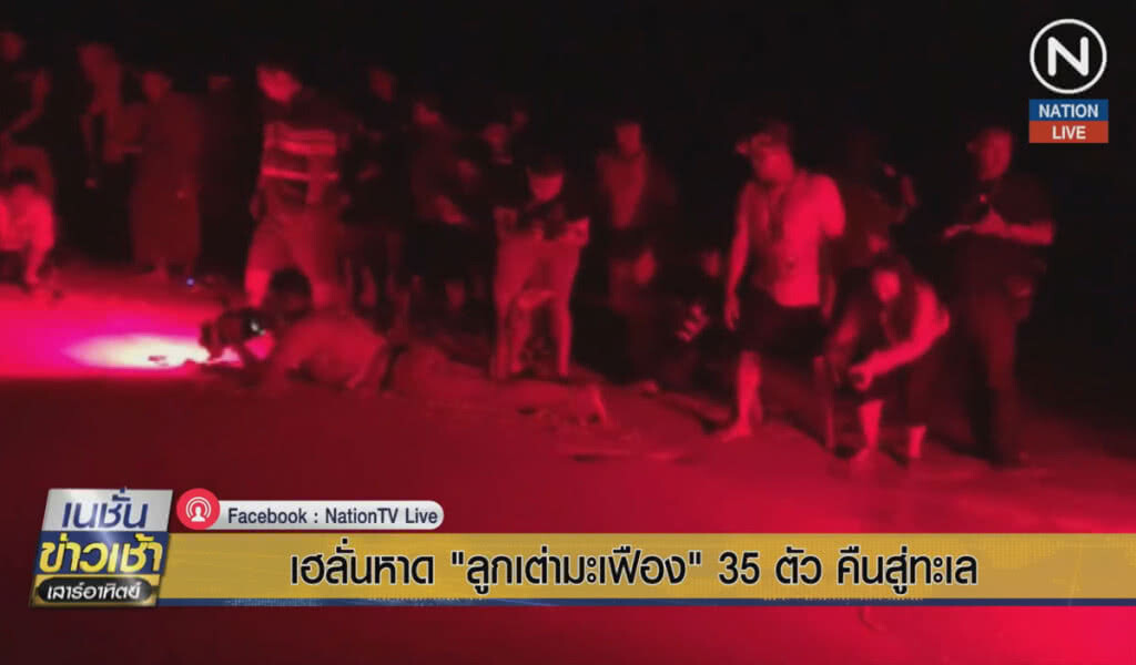 (คลิปข่าว เฮลั่นหาด "ลูกเต่ามะเฟือง" 35 ตัวคืนสู่ทะเล (คลิปข่าว เฮลั่นหาด "ลูกเต่ามะเฟือง" 35 ตัวคืนสู่ทะเล