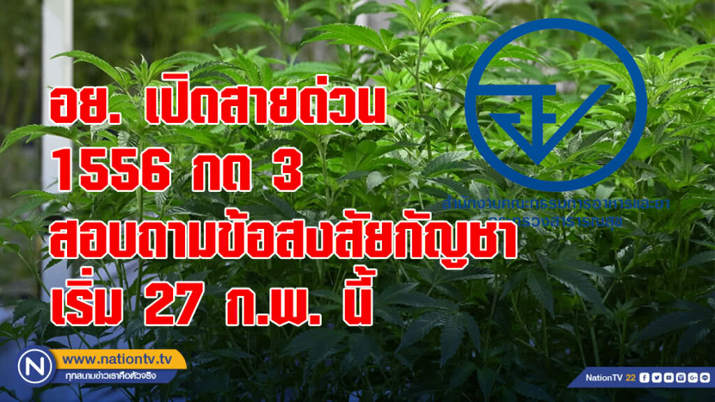 อย. เปิดสายด่วน 1556 กด 3 สอบถามข้อสงสัยกัญชา เริ่ม 27 ก.พ. นี้