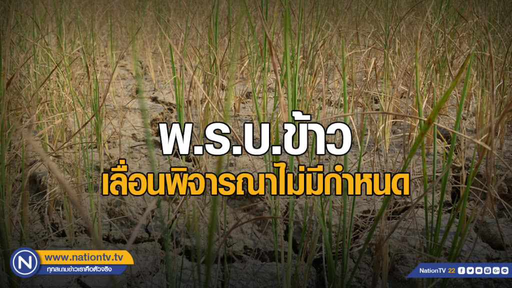พ.ร.บ.ข้าว เลื่อนพิจารณาไม่มีกำหนด พ.ร.บ.ข้าว เลื่อนพิจารณาไม่มีกำหนด