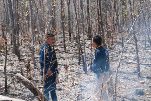 ชาวบ้านปัดเผาป่า​แค่​ 'ลดเชื้อเพลิง'​ ชี้ไฟป่าจำเป็นสำหรับป่าเต็งรัง