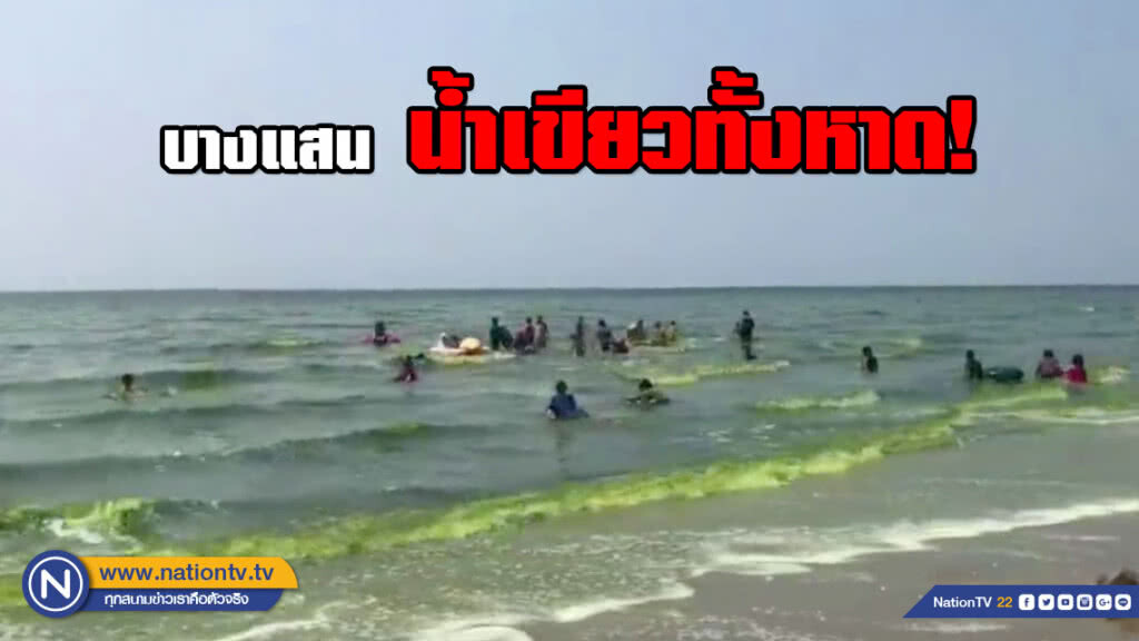 ปรากฏการณ์ "แพลงตอนบลูม" หาดบางแสน น้ำทะเลเขียว! ชาวบ้านเผยเรื่องปรกติ (มีคลิป) ปรากฏการณ์ "แพลงตอนบลูม" หาดบางแสน น้ำทะเลเขียว! ชาวบ้านเผยเรื่องปรกติ (มีคลิป)
