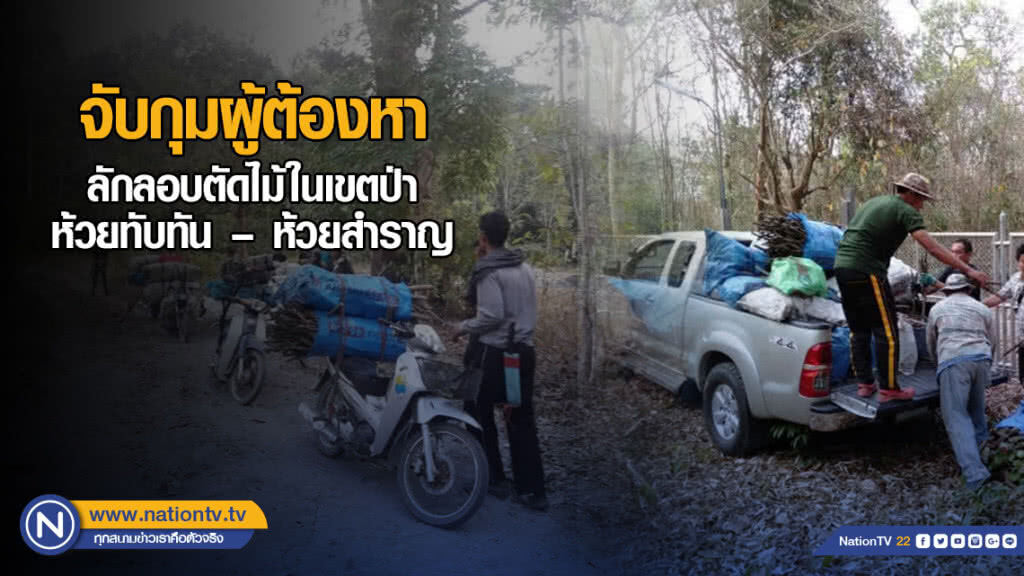 จับกุมผู้ต้องหา 17 ราย ลักลอบตัดไม้ใน​เขตป่าห้วยทับทัน-ห้วยสำราญ