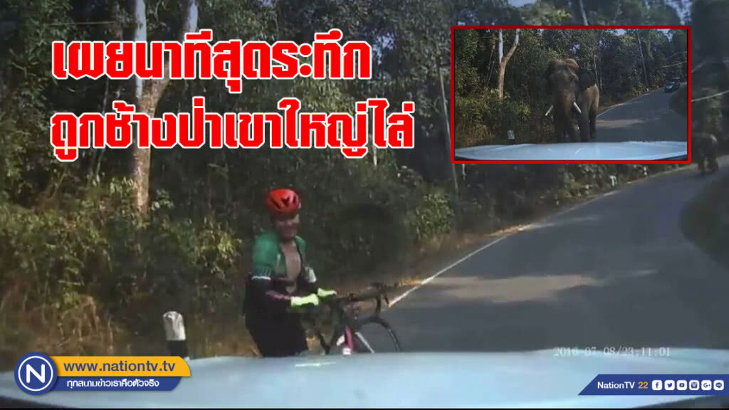 นักปั่นชัยภูมิ เผยนาทีสุดระทึกถูกช้างป่าเขาใหญ่ไล่