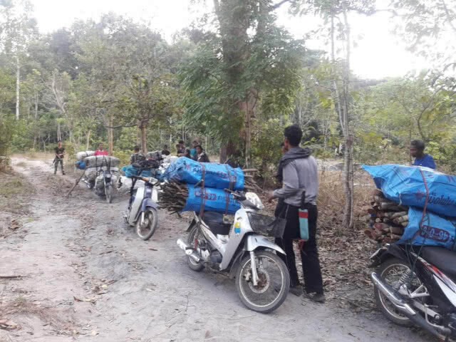 จับกุมผู้ต้องหา 17 ราย ลักลอบตัดไม้ใน​เขตป่าห้วยทับทัน-ห้วยสำราญ