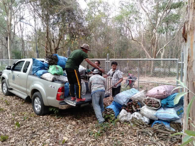 จับกุมผู้ต้องหา 17 ราย ลักลอบตัดไม้ใน​เขตป่าห้วยทับทัน-ห้วยสำราญ
