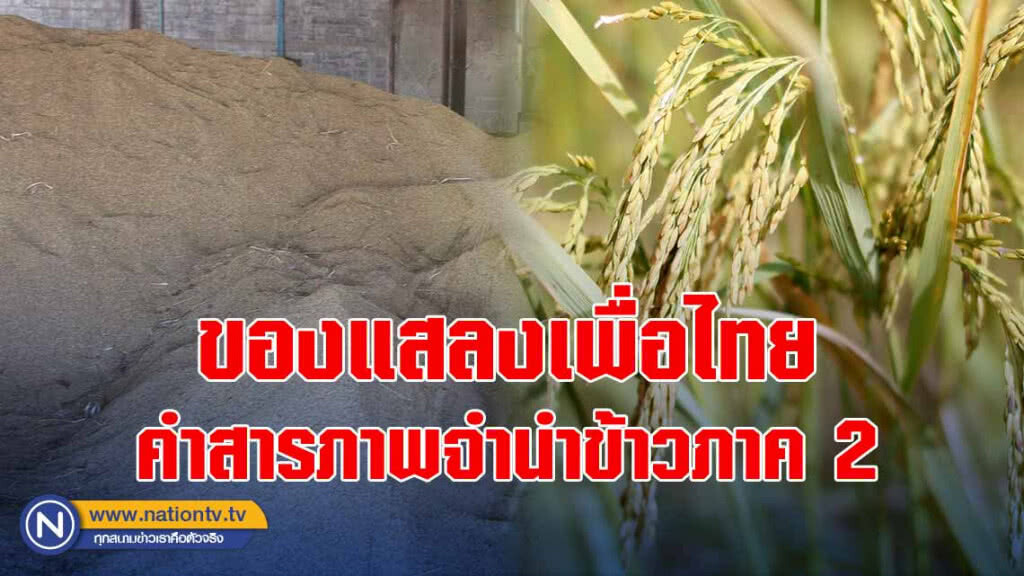 ของแสลงเพื่อไทยคำสารภาพจำนำข้าวภาค 2