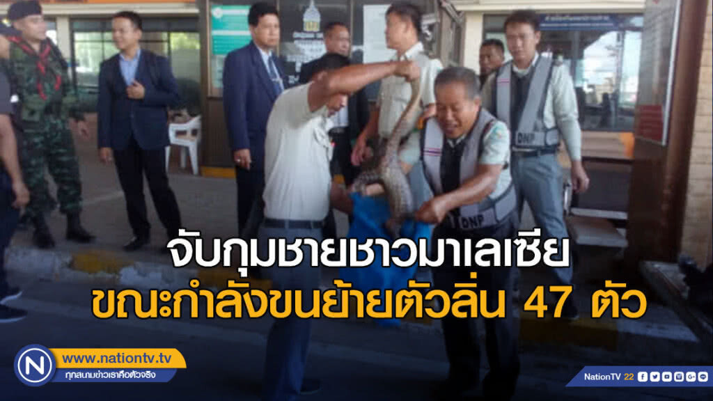 จับกุมชายชาวมาเลเซียขณะกำลังขนย้ายตัวลิ่น 47 ตัวผ่านด่านพรมแดนสะเดา จ.สงขลา