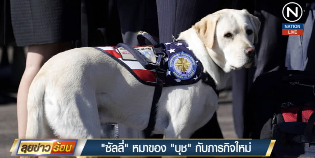 (คลิปข่าว) "ซัลลี่" หมาที่จงรักภักดีของอดีต ปธน.บุช กับภารกิจใหม่