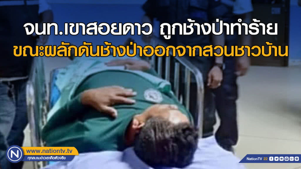 จนท.เขาสอยดาว ถูกช้างป่าทำร้ายขณะผลักดันช้างป่าออกจากสวนชาวบ้าน