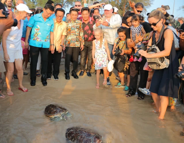 ปล่อยเต่าตนุ 100 ตัว กลับสู่ทะเล