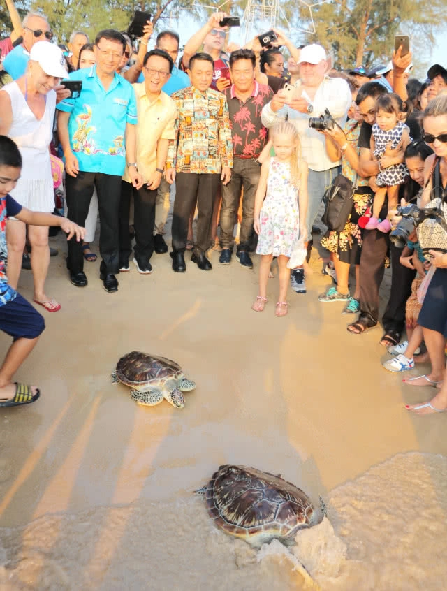 ปล่อยเต่าตนุ 100 ตัว กลับสู่ทะเล