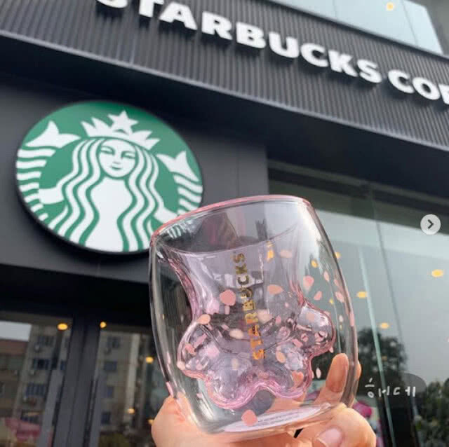 คอกาแฟจีนตบตีกัน แย่งแก้ว "แมว" สตาร์บัคส์