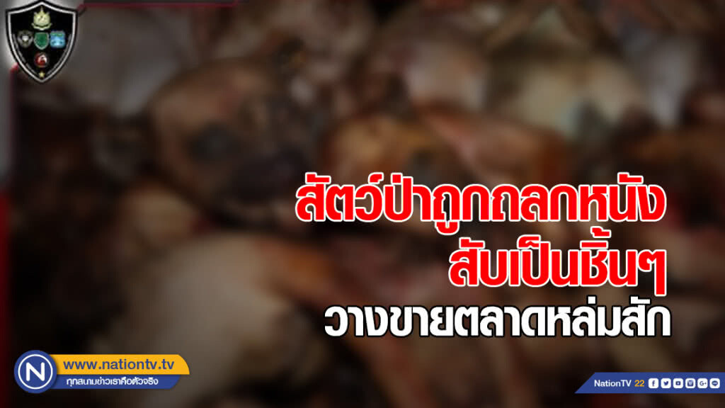 สุดสะเทือนใจ! สัตว์ป่าถูกถลกหนัง สับเป็นชิ้นๆ​ พญาเสือบุกจับยกแก๊งกลางตลาดหล่มสัก​ จ.เพชรบูรณ์​
