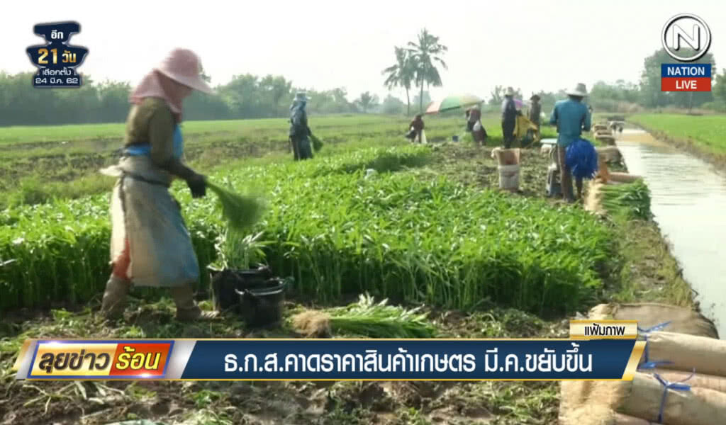 (คลิปข่าว) ธ.ก.ส.คาดราคาสินค้าเกษตร มี.ค.ขยับขึ้น (คลิปข่าว) ธ.ก.ส.คาดราคาสินค้าเกษตร มี.ค.ขยับขึ้น