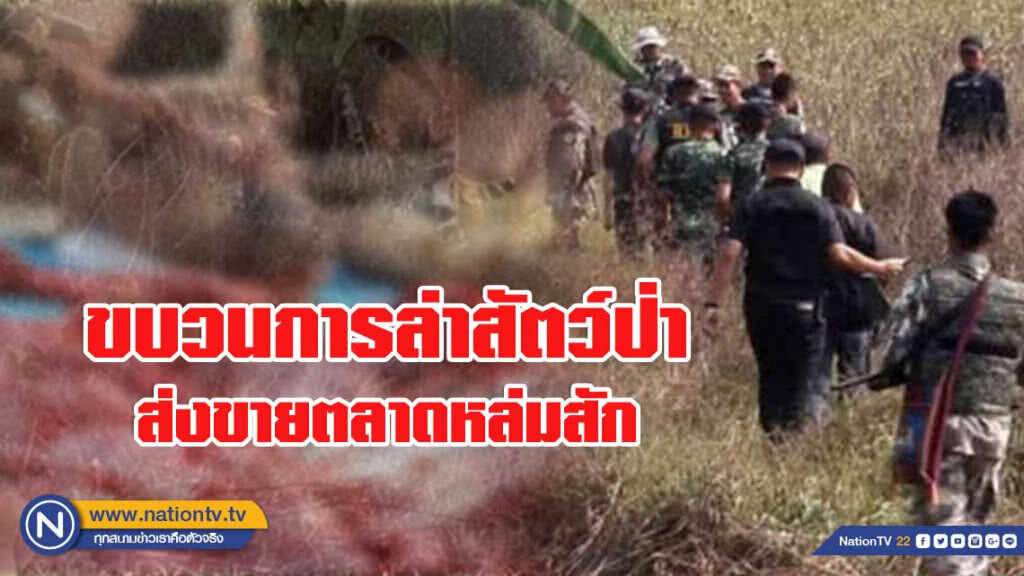 ค้นบ้านห้วยระหงส์ หลังพบข้อมูลขบวนการล่าสัตว์ป่า