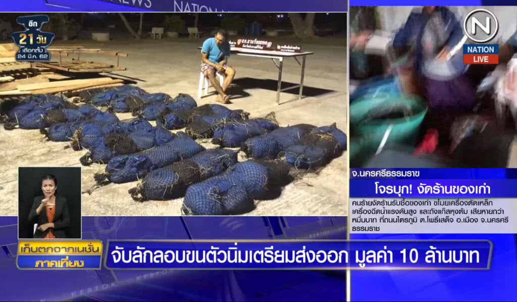 (คลิปข่าว) จับลักลอบขนตัวนิ่มเตรียมส่งออก มูลค่า 10 ล้านบาท (คลิปข่าว) จับลักลอบขนตัวนิ่มเตรียมส่งออก มูลค่า 10 ล้านบาท