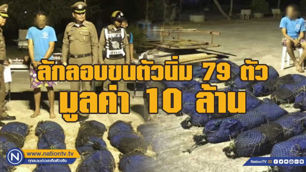 ลักลอบขนตัวนิ่ม79ตัว มูลค่า10ล้านบาท ลักลอบขนตัวนิ่ม79ตัว มูลค่า10ล้านบาท