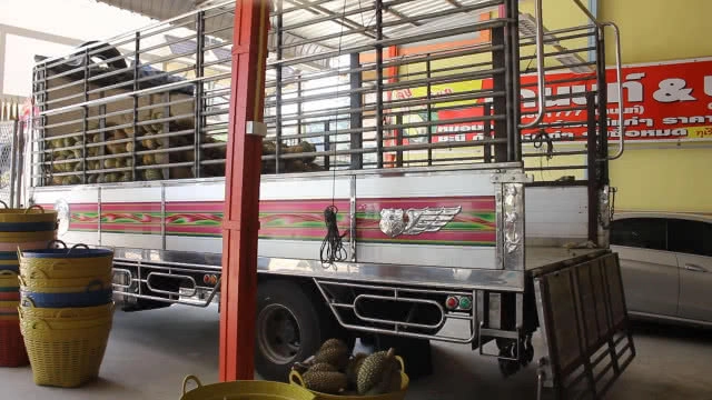 คลิป.. เปิดใจลูกสาว "เสี่ยล้งทุเรียน" ประกาศสมัครลูกเขย