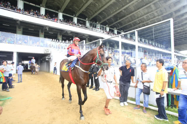 รื้อถอน สนามม้านางเลิ้ง เตรียมสร้างพระบรมราชานุสาวรีย์ ร.9