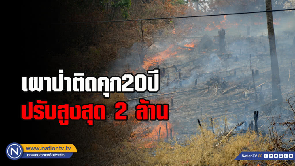 เผาป่าติดคุก20ปีปรับสูงสุด2ล้าน เผาป่าติดคุก20ปีปรับสูงสุด2ล้าน
