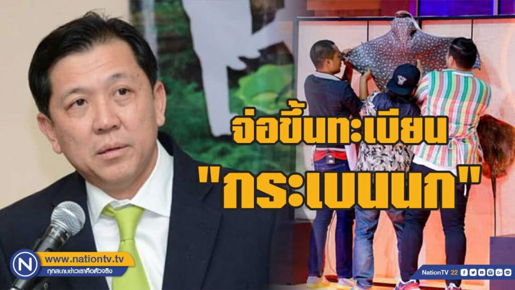 ทช.จ่อขึ้นทะเบียน "กระเบนนก" คิวต่อไป