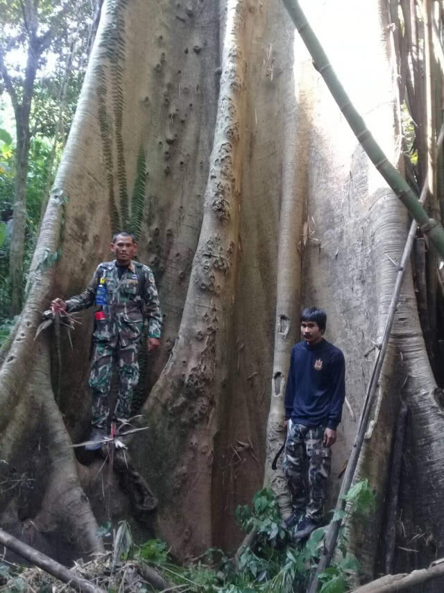 สำรวจอุทยานแห่งชาติน้ำตกสี่ขีด ผืนป่าหนาทึบของแดนใต้