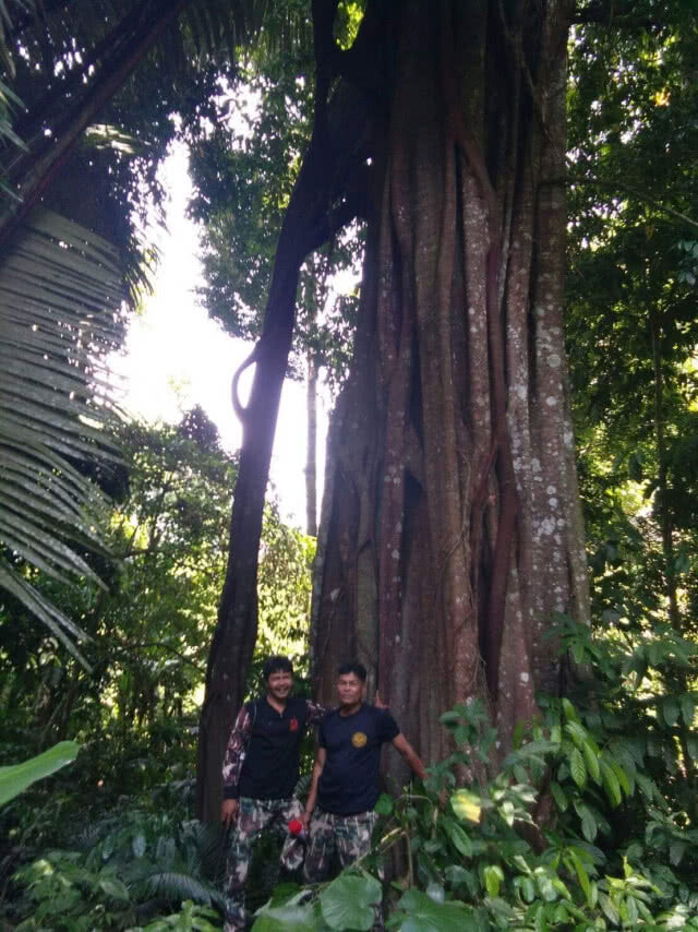 สำรวจอุทยานแห่งชาติน้ำตกสี่ขีด ผืนป่าหนาทึบของแดนใต้