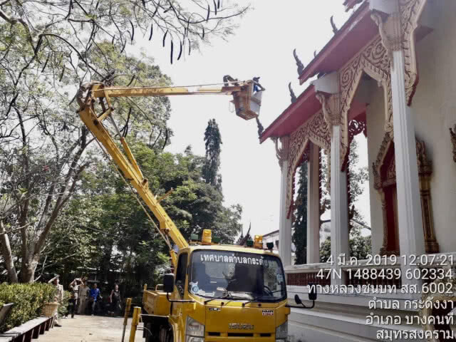 จับลิงจอมป่วน ก่อกวนชาวบ้านตลาดน้ำบางน้อย