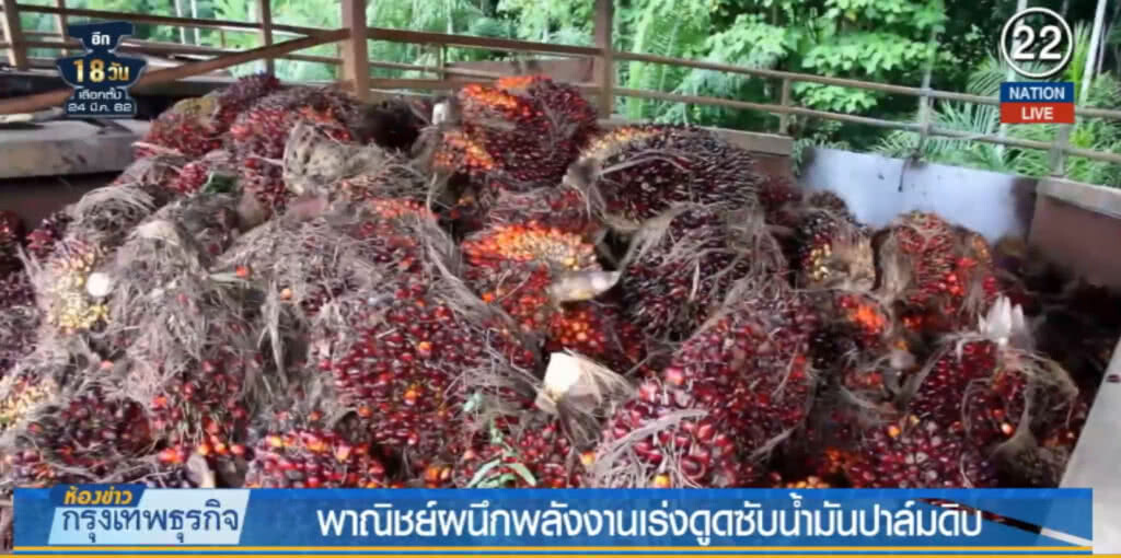 (คลิปข่าว) พาณิชย์ผนึกพลังงานเร่งดูดซับน้ำมันปาล์มดิบ